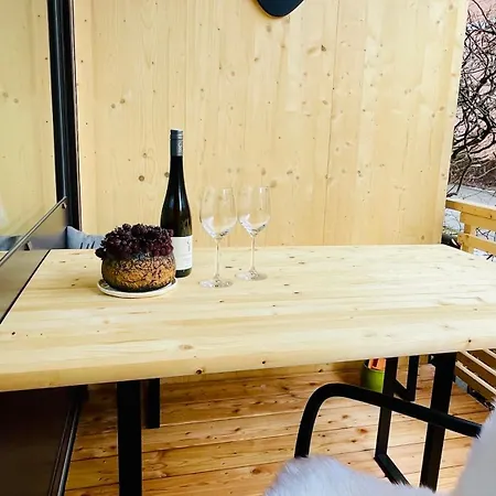 公寓 Ausseer Hoiznest *