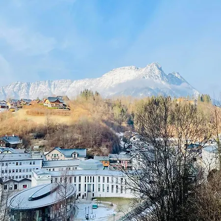 Ausseer Hoiznest