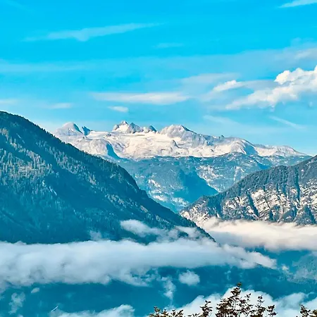 Ausseer Hoiznest Bad Aussee