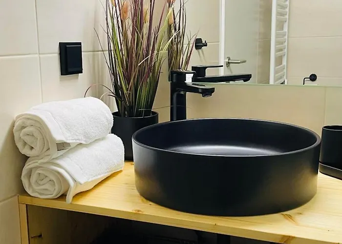 Appartamento Ausseer Hoiznest