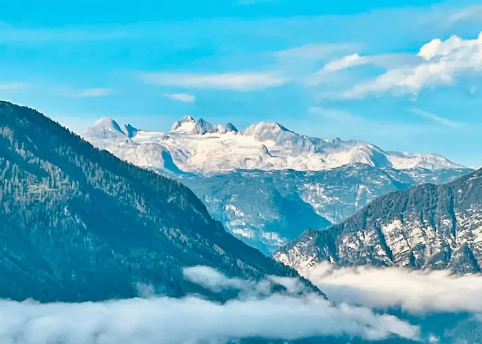 Ausseer Hoiznest Bad Aussee